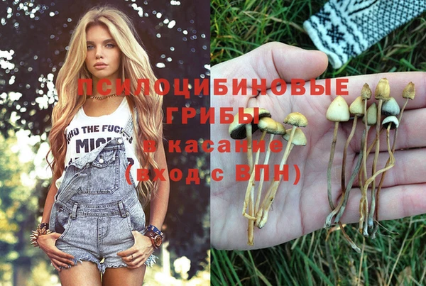 jwh Богданович